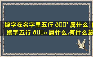 婉字在名字里五行 🌹 属什么（婉字五行 🌻 属什么,有什么意思）